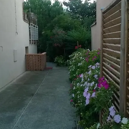 Chambre Et Vue Sur Jardin * Toulouse